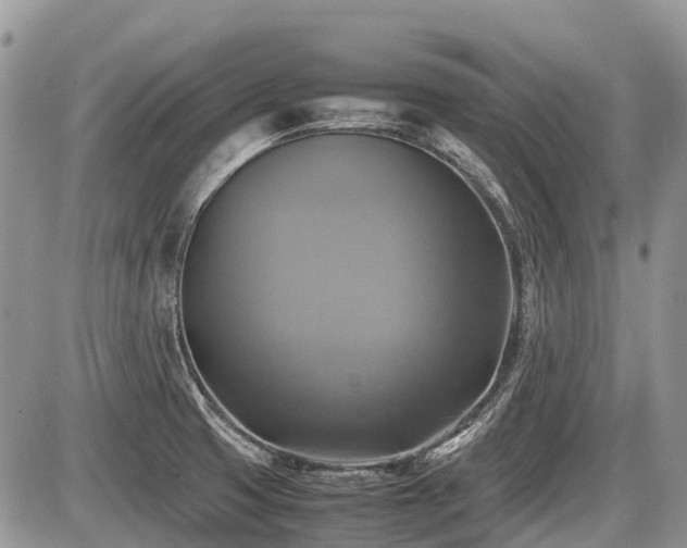 X0000086761425200704131104