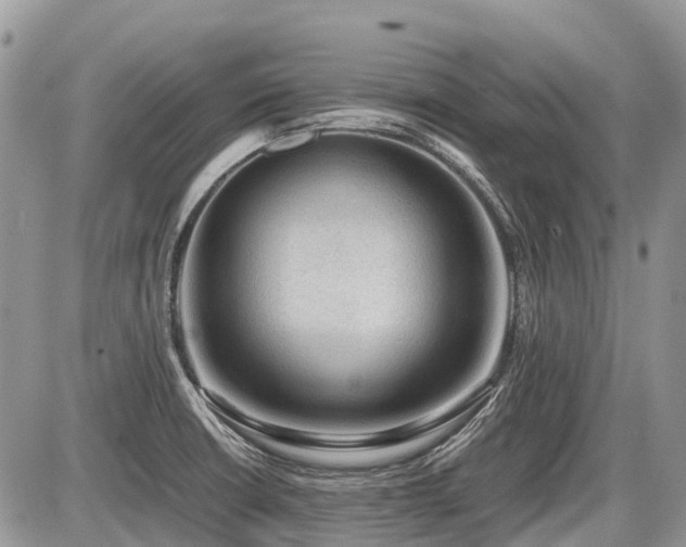 X0000086761426200704131104