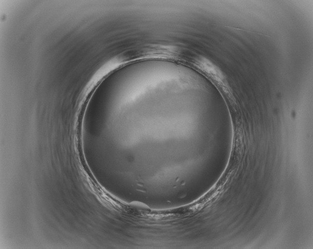 X0000086761427200704131104