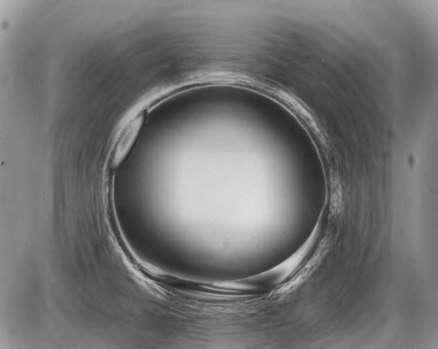 X0000086761430200704131104