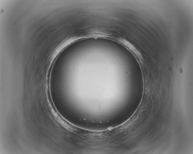X0000086761431200704131104