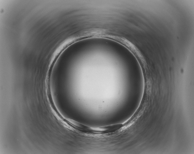 X0000086761432200704131104