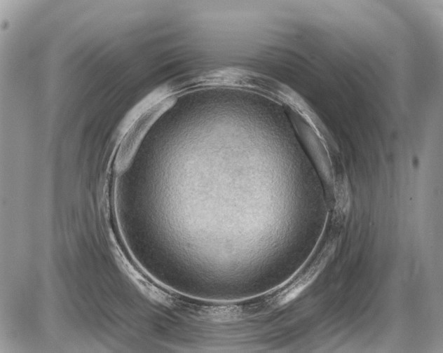 X0000086761434200704131104