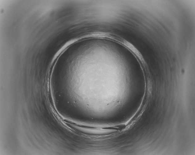 X0000086761436200704131104