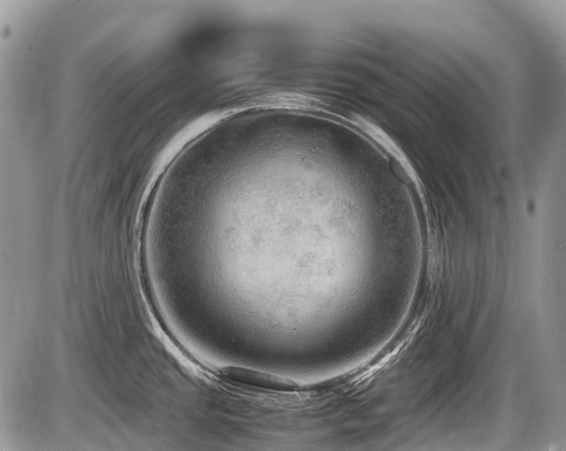 X0000086761437200704131104