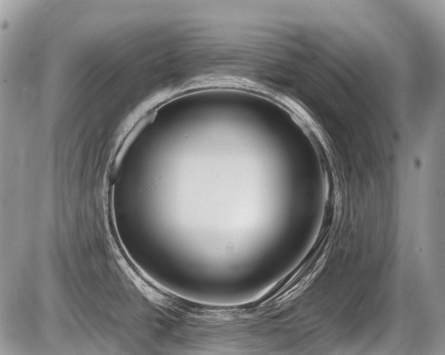 X0000086761438200704131104