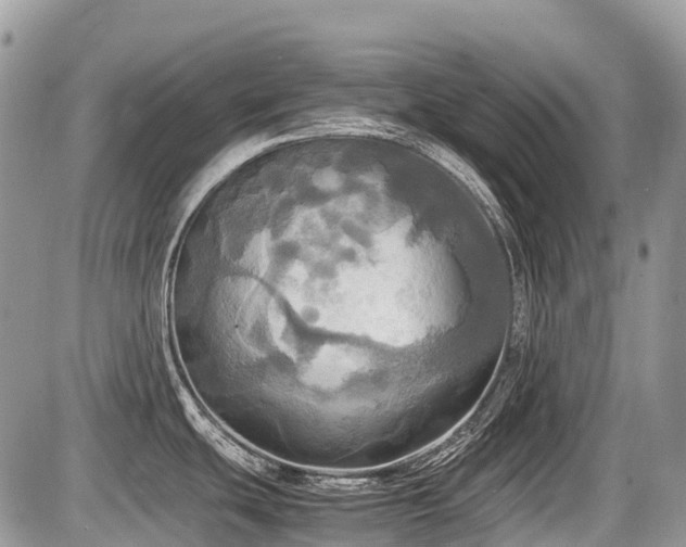 X0000086761439200704131104