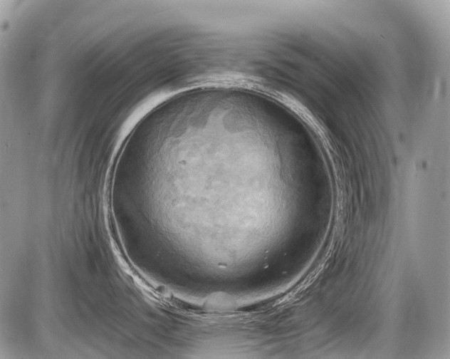 X0000086761440200704131104