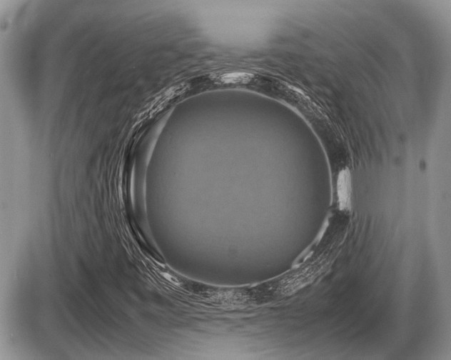 X0000086761443200704131104