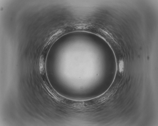 X0000086761444200704131104