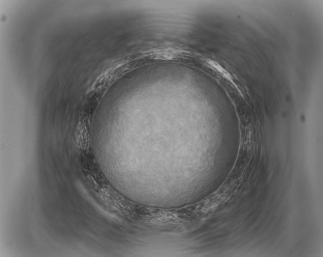 X0000086761446200704131103