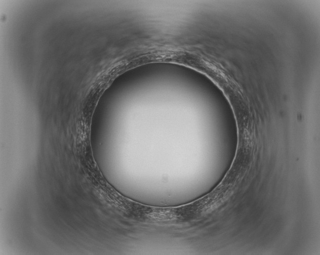 X0000086761447200704131103