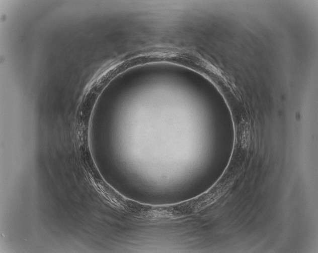 X0000086761448200704131103
