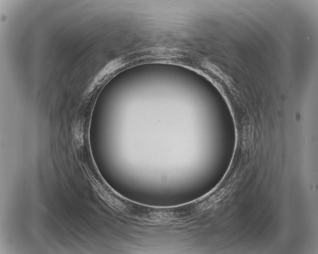 X0000086761451200704131103