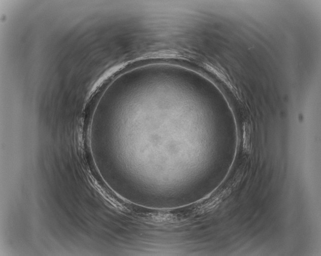 X0000086761452200704131103
