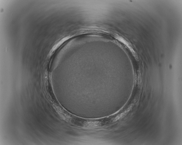 X0000086761453200704131103