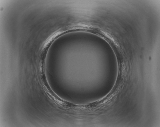 X0000086761455200704131103