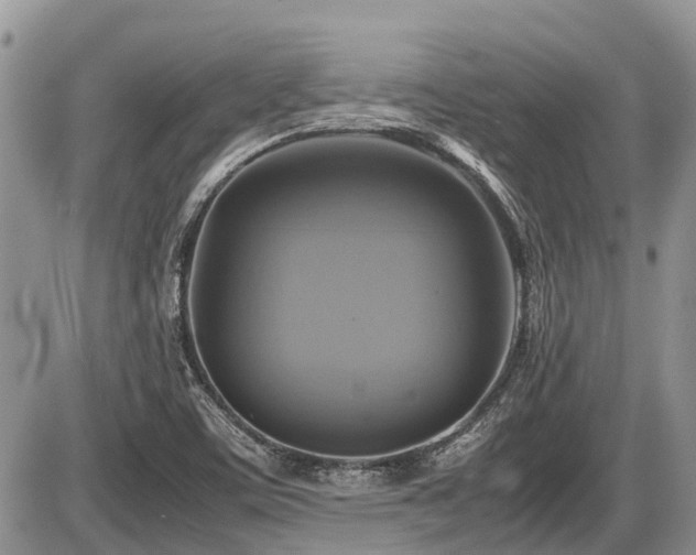 X0000086761459200704131103