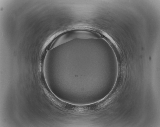 X0000086761461200704131103
