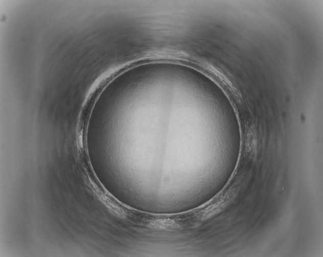 X0000086761462200704131103