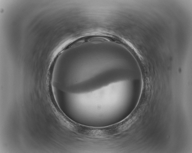 X0000086761463200704131103