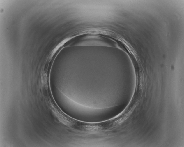 X0000086761465200704131103