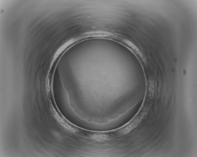 X0000086761466200704131103