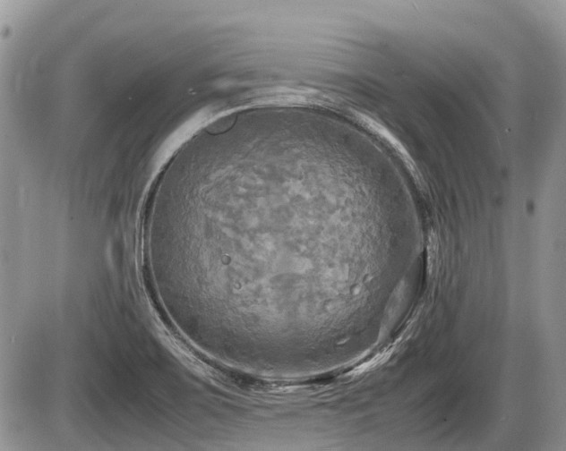 X0000086761467200704131103
