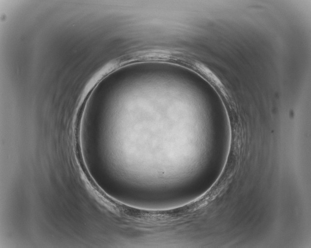 X0000086761475200704131103