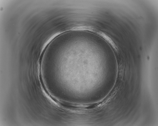 X0000086761476200704131103
