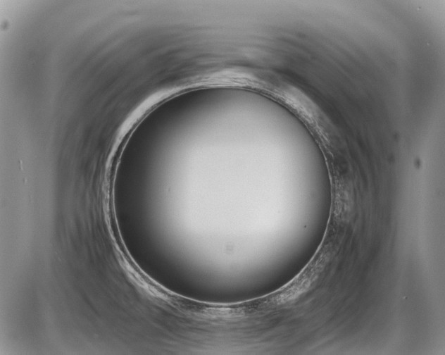 X0000086761478200704131103