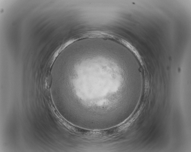 X0000086761481200704131103