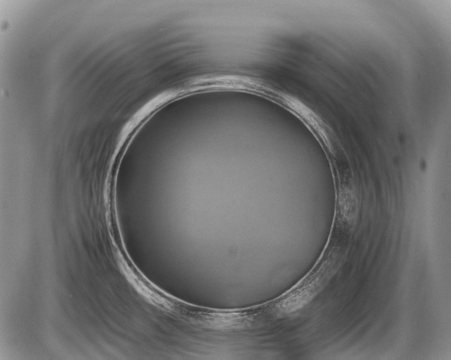 X0000086761482200704131103