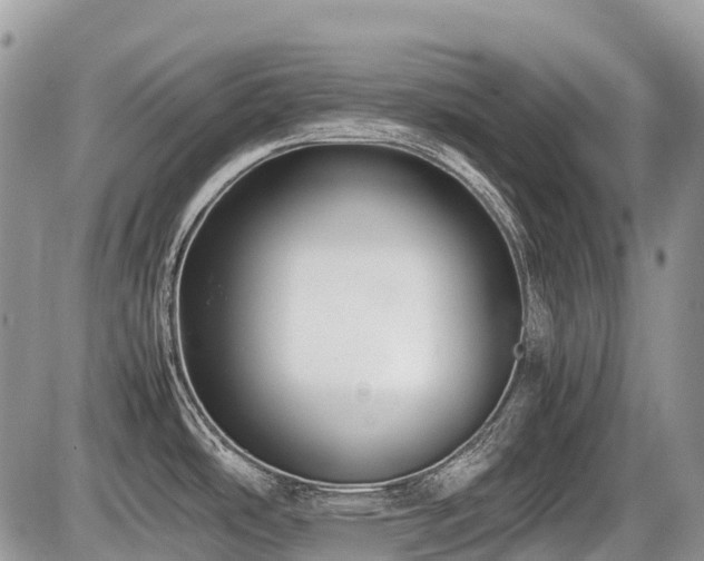 X0000086761486200704131103
