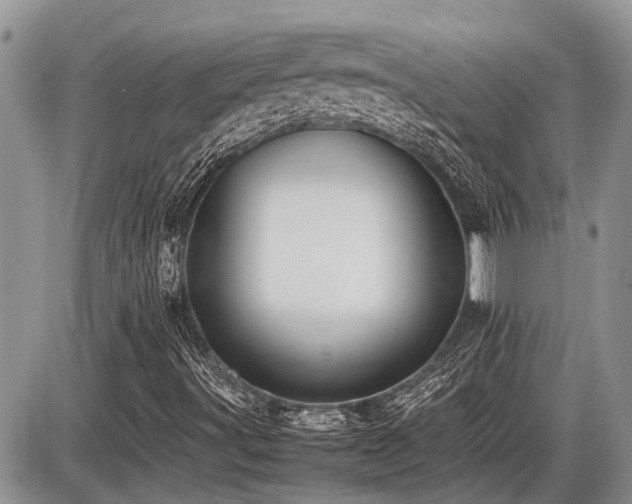 X0000086761491200704131102