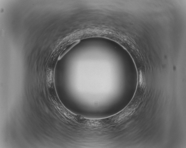 X0000086761492200704131102