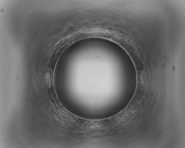 X0000086761493200704131102