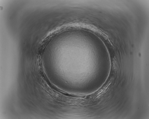 X0000086761494200704131102