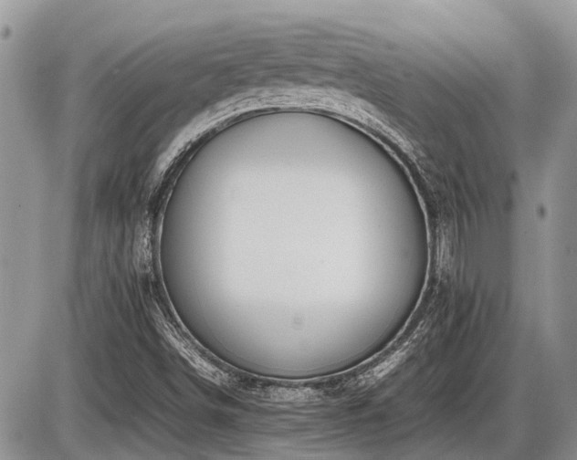 X0000086761498200704131102