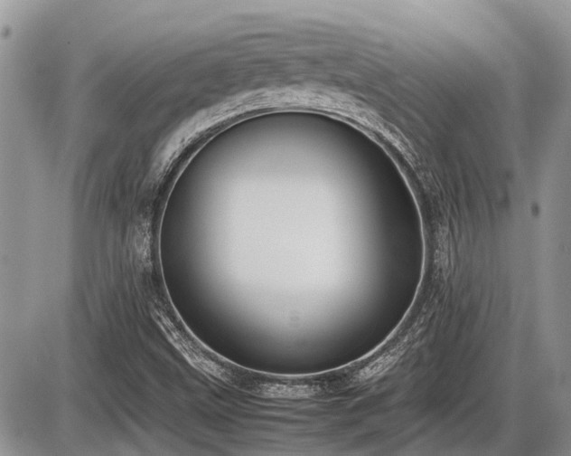 X0000086761499200704131102