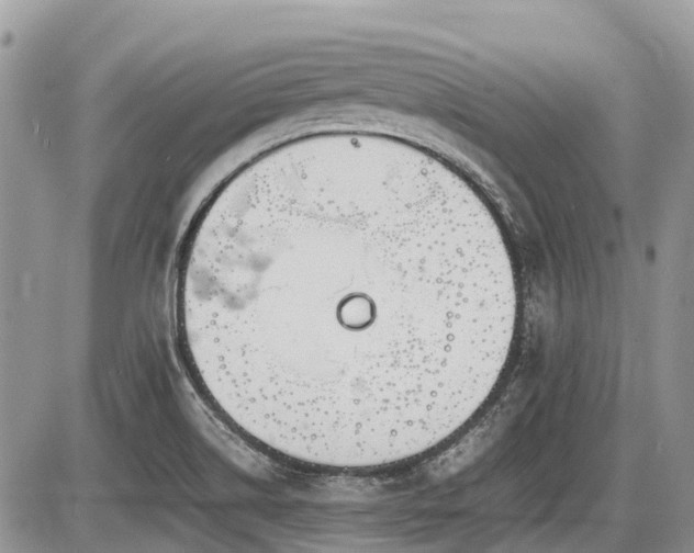 X0000086761514200704131102