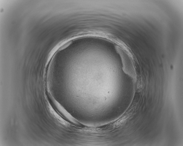 X0000086761532200704131103