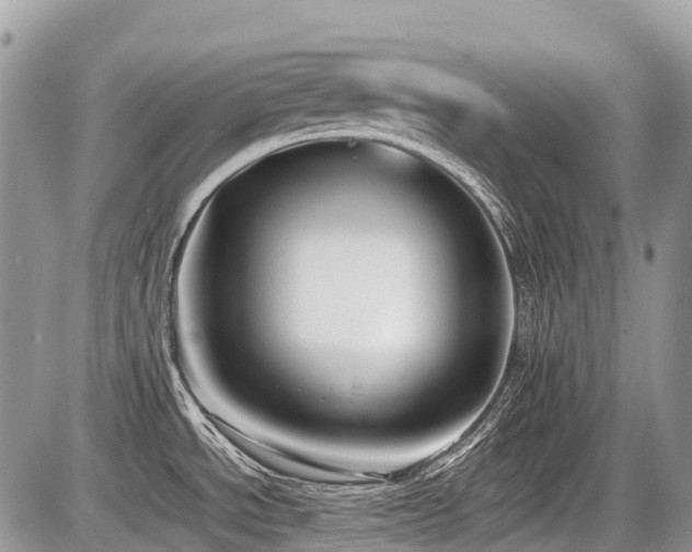 X0000086761534200704131103
