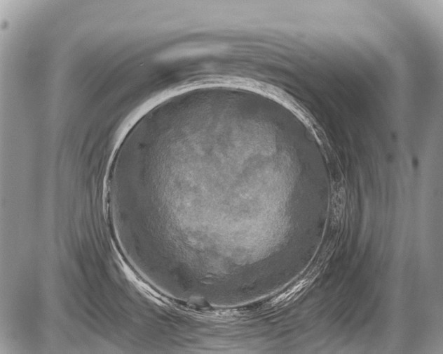 X0000086761535200704131103