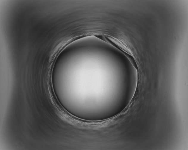 X0000086760001200704201754