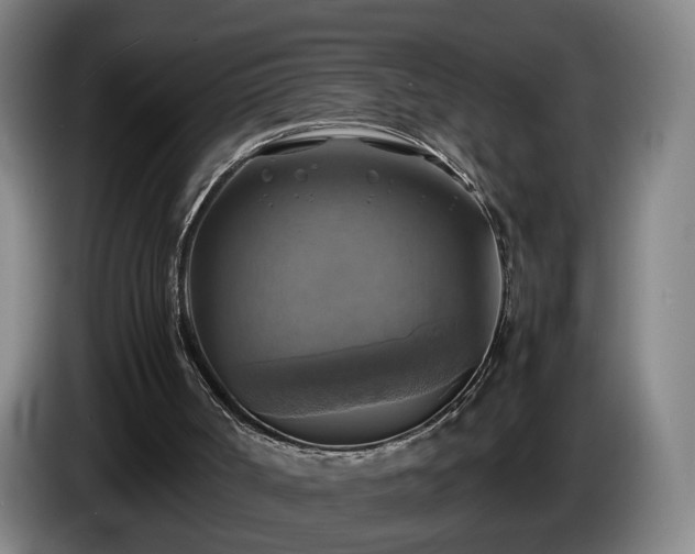 X0000086760002200704201754