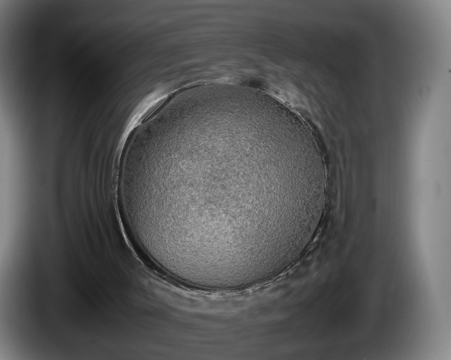 X0000086760003200704201754