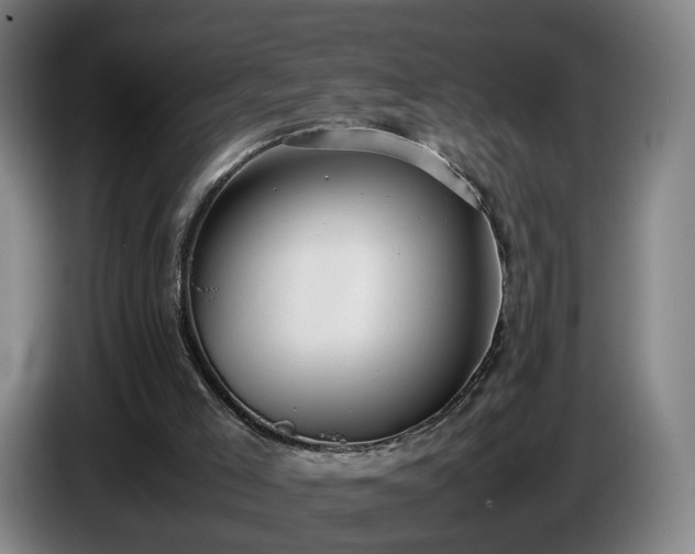 X0000086760005200704201754