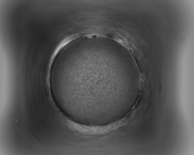 X0000086760006200704201754