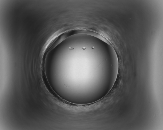 X0000086760007200704201754